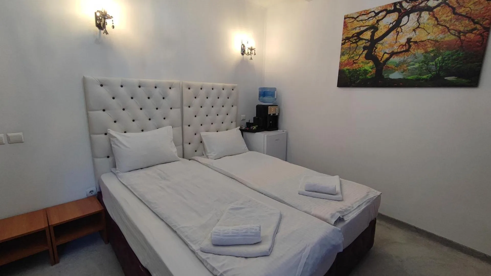 Iris Boutique Hotel Otopeni Guest house