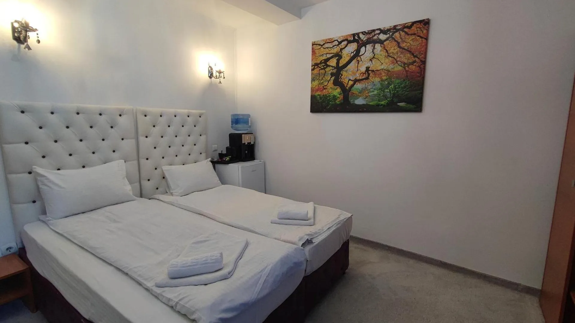 Guest house Iris Boutique Hotel Otopeni