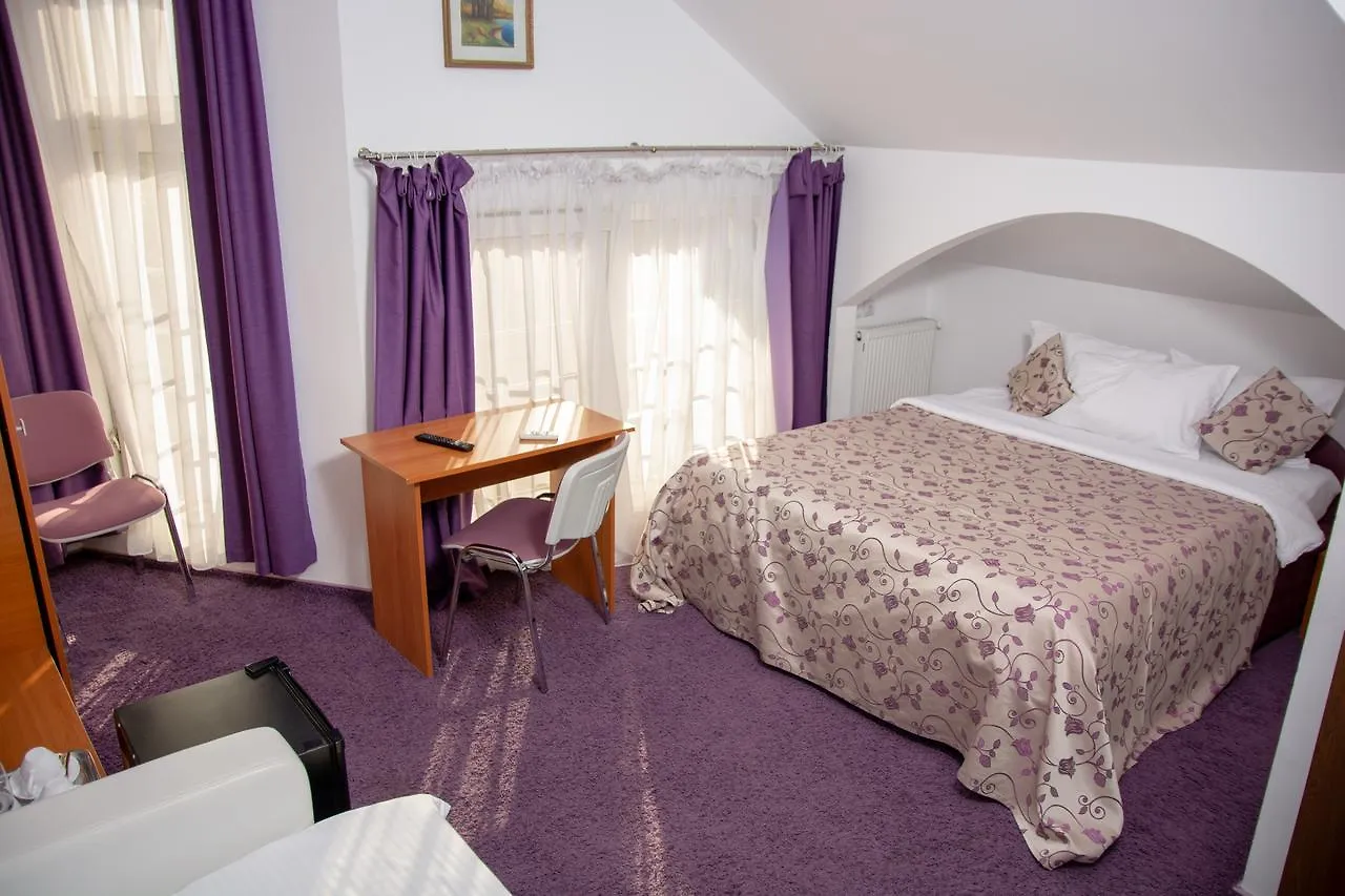 Iris Boutique Hotel Otopeni 4*,